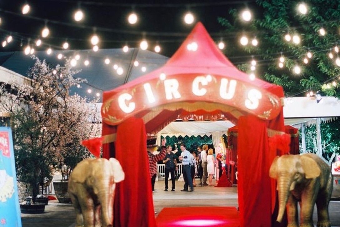 Circus 3